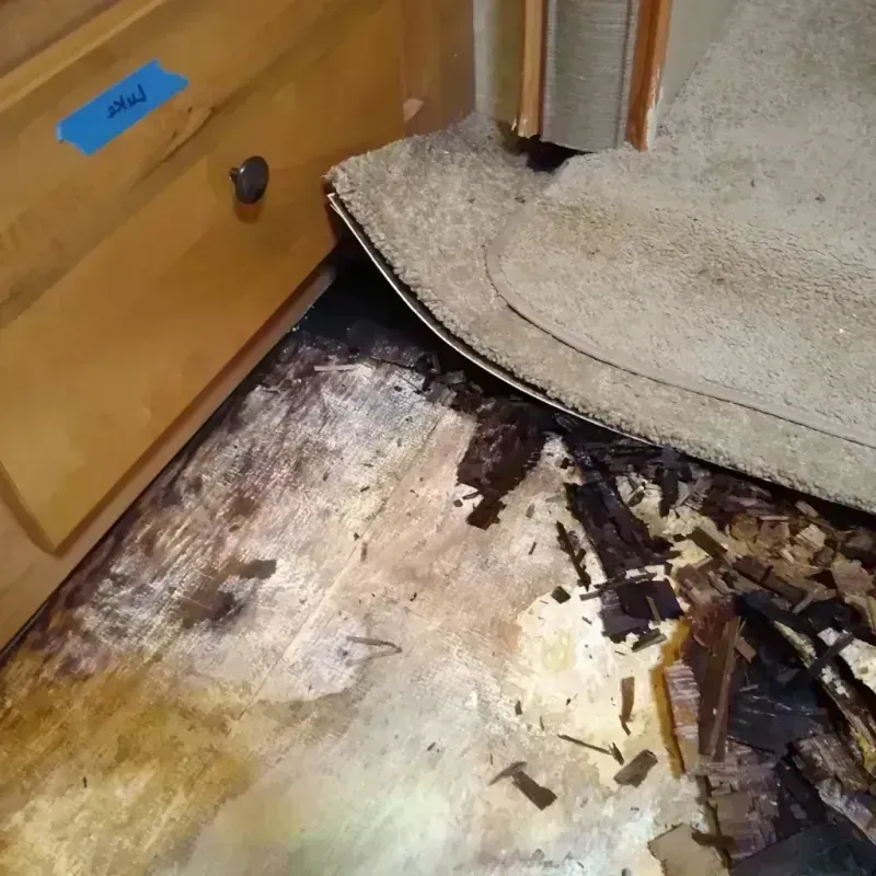 Wood Floor Water Damage in Morgan County, TN